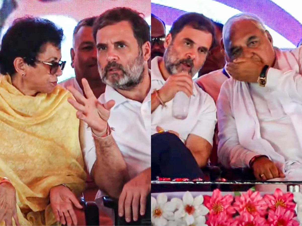 haryana election, rahul gandhi, kumari selja, bhupinder singh hooda, haryana election, rahul gandhi, kumari selja, bhupinder singh hooda