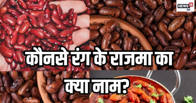Structure Rajma भारत में कितने तरह के होते हैं राजमा? जानें कौन सबसे हेल्दी और टेस्टी ...