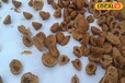 Mushroom Badi: स्वाद में लाजवाब सेहत को रखें तंदुरुस्त, जानें मशरूम बड़ी बनाने की विधि