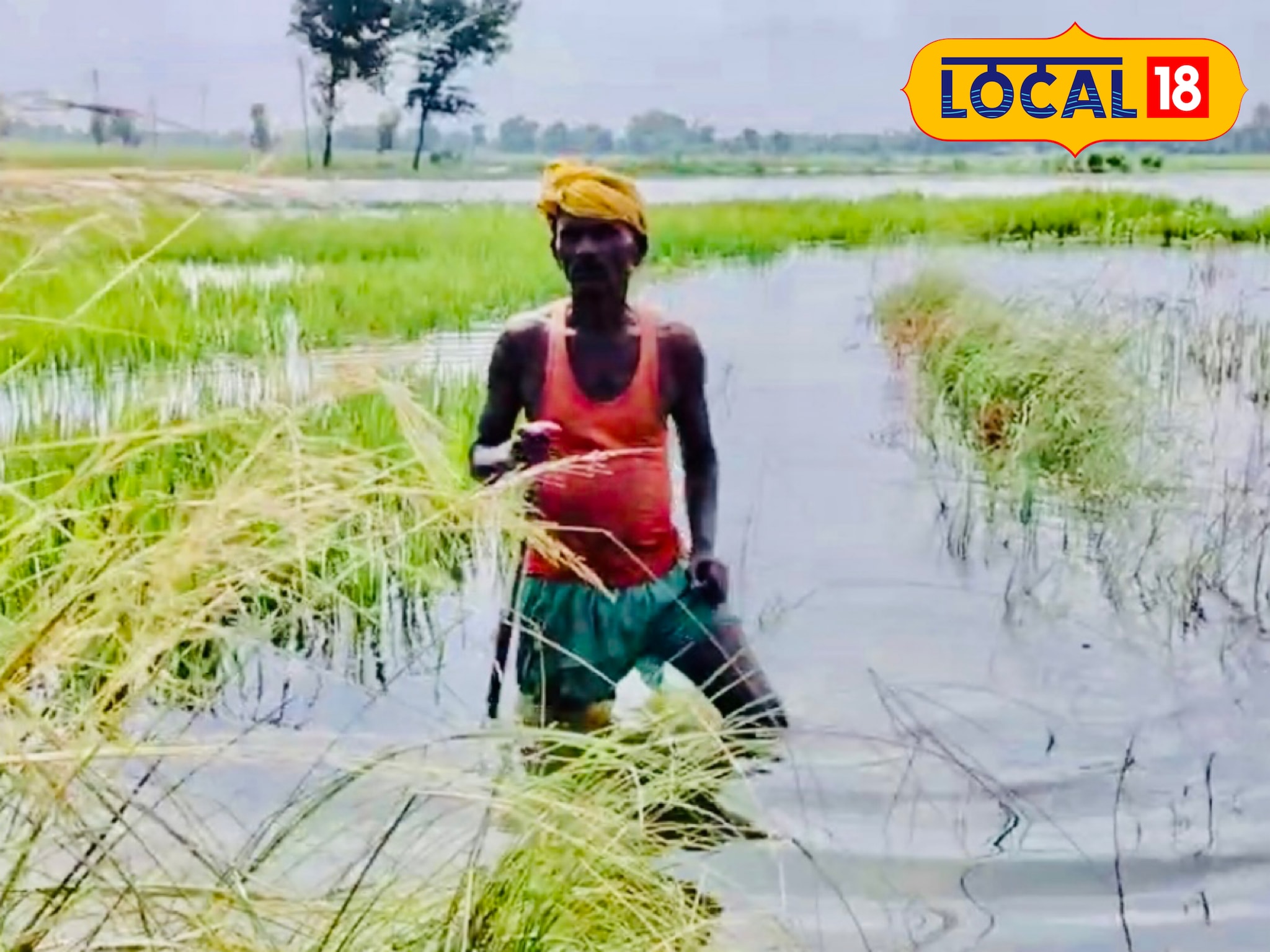 Bihar Flood : सब बर्बाद हो गया...अब साल भर क्या खाएंगे, कर्ज कैसे चुकाएंगे?