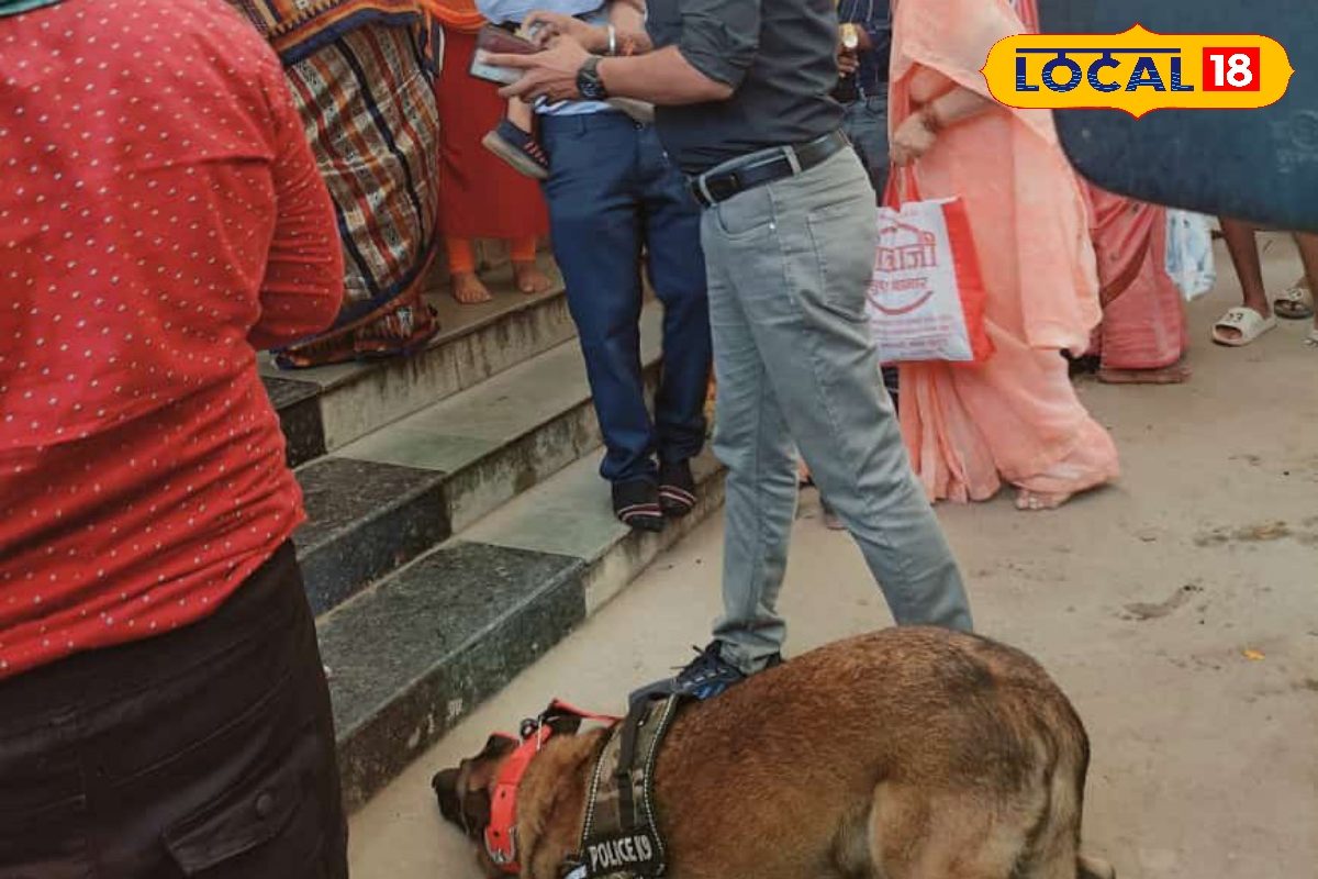 तेज-तर्रार बाघा डॉग माथा टेकने पहुंचा माता के दरबार, एक से बढ़कर एक कारनामे किए