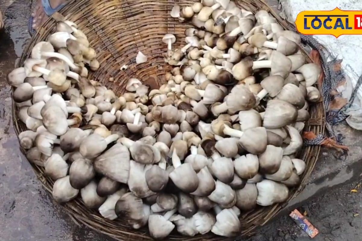 स्वाद ही नहीं... सेहत के लिहाज से भी लाजवाब है ये आर्गेनिक सब्जी, जानें फायदे
