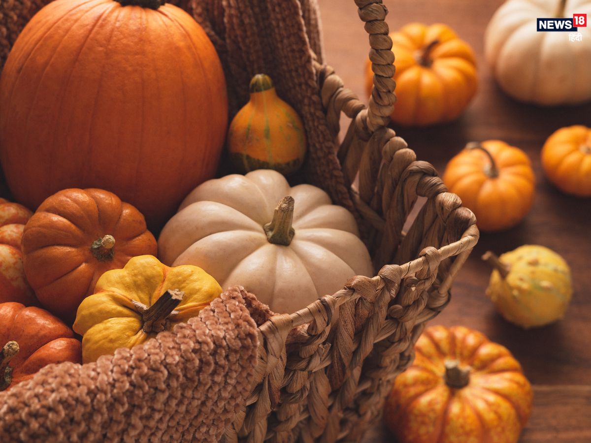 National Pumpkin Day: What is the connection of pumpkin with Halloween and Thirteenth? Why was it called a bomb? 2