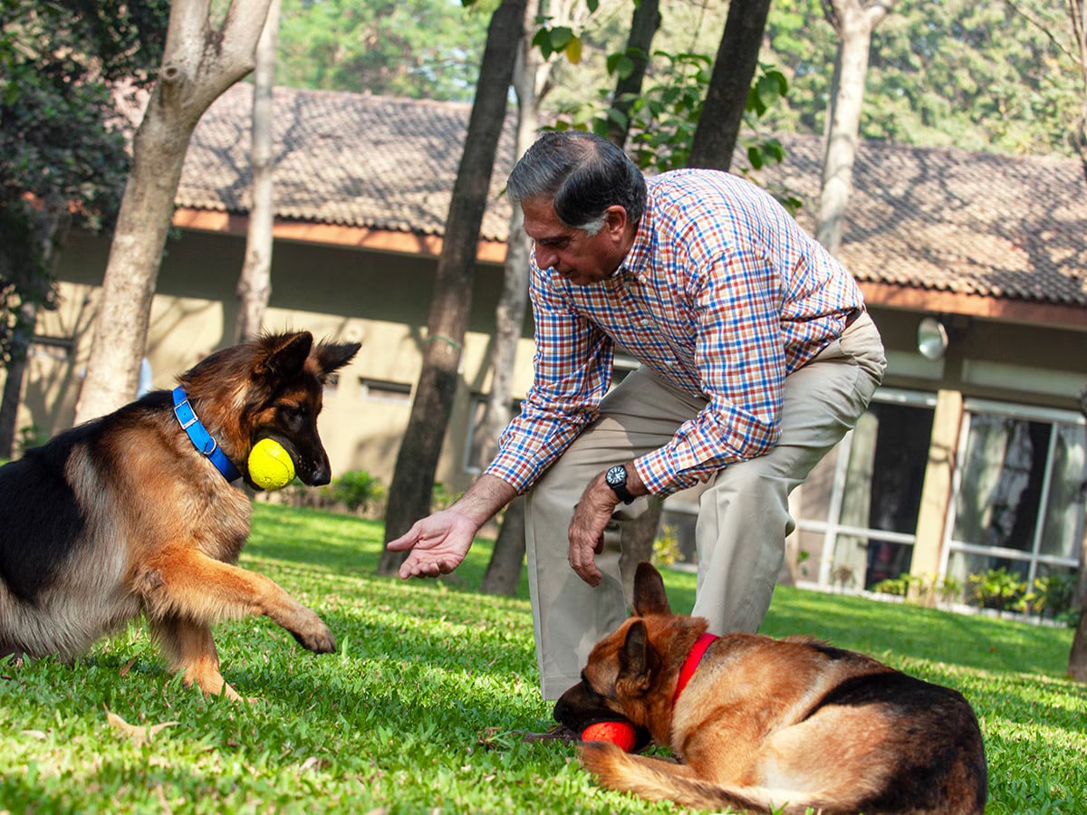 ratan tata dogs, ratan tata pets,closest to Ratan Tata, ratan tata news, ratan tata died, ratan tata life, ratan tata loves pets, ratan tata latest news, ratan tata ki kahani, ratan tata k kisse, former ceo of tata trust, tata R Venkataramanan, ceo revealed, tata ceo interview, Ratan Tata news