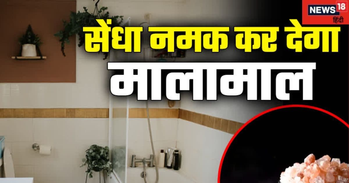 बाथरूम में रखें यह एक चीज, घर से वास्तु दोष होगा दूर, धन का संकट भी हो जाएगा खत्म!