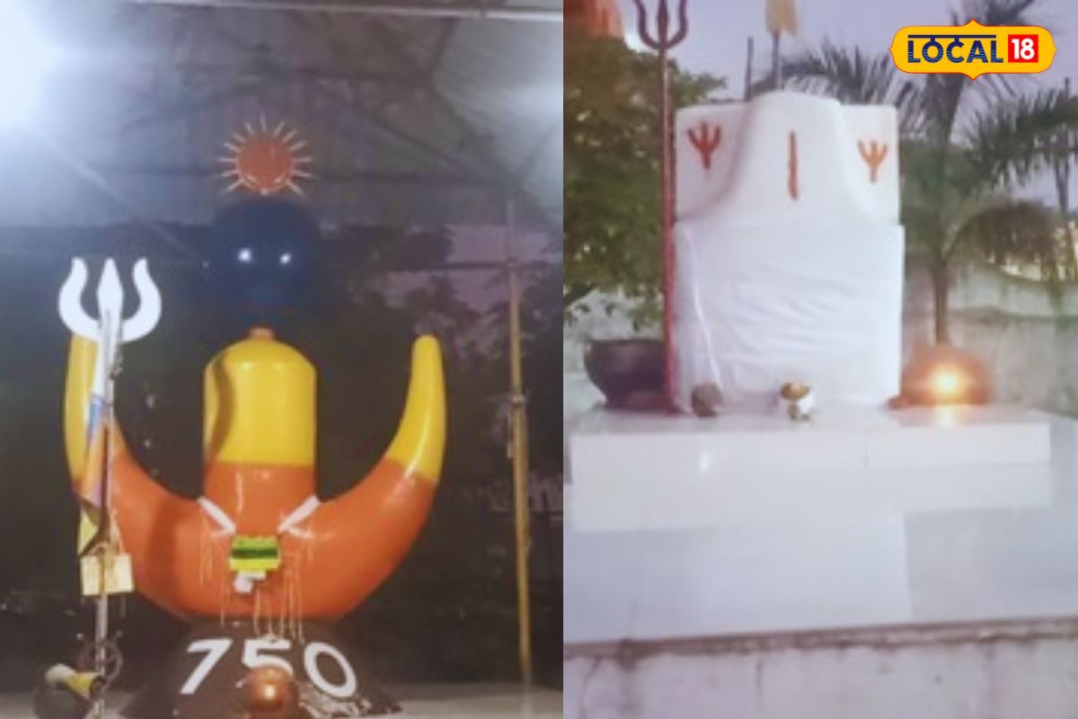 कोरबा का आदिवासी शक्तिपीठ, जहां आस्था से जुड़ी हैं परंपराएं, संस्कृति बनती...