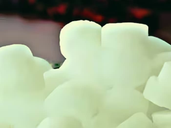 Amazing Camphor Benefits 