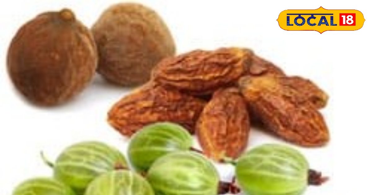 सेहत – वजन घटाना: बढ़ते वजन को कम करने में है त्रिफला, घर पर ही 3 वजन- वजन घटाने से करें तैयारी, बिना जिम के हो जाएं फिट