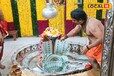 महाकाल को पहनाई US डॉलर की माला... भस्म आरती में चढ़ाने के बाद भक्त 'लापता', कीमत उड़ा देगी होश!