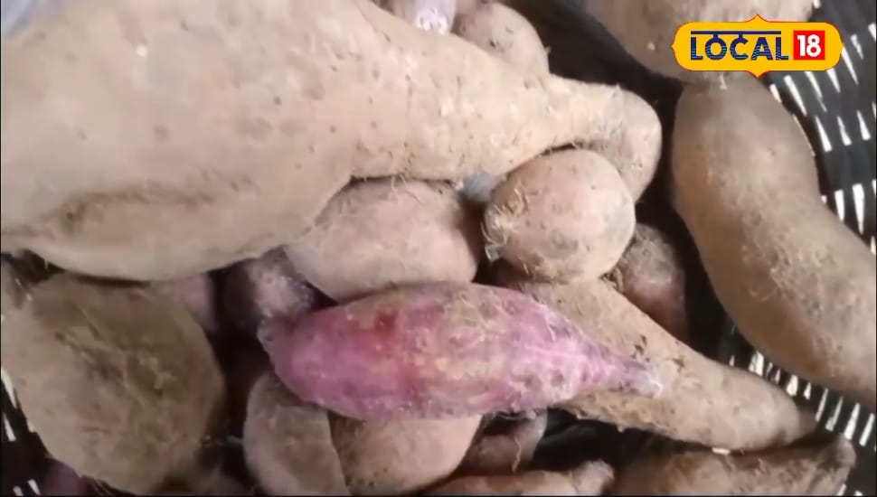 Sweet Potato: ठंडी में इस फल को खाने के हैं फायदे ही फायदे, वजन कम करने में भी है कारगर, शरीर में बढ़ाएगा खून की मात्रा