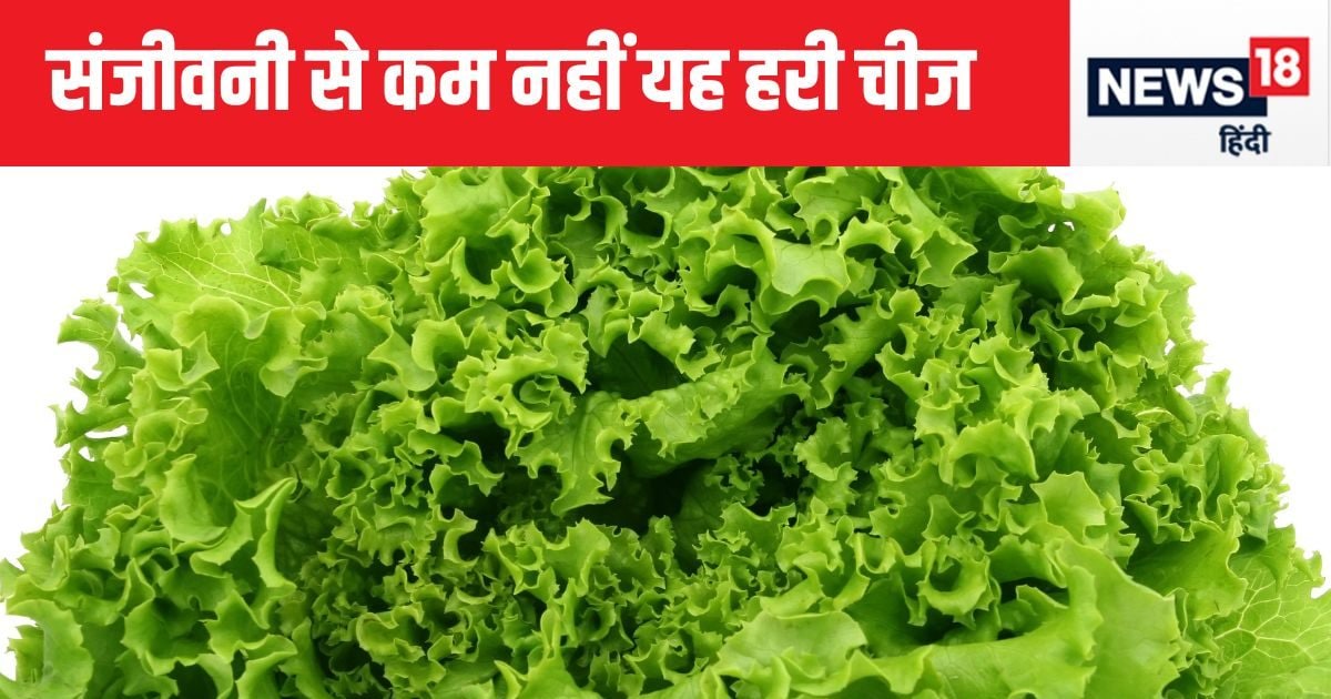 सेहत – इस हरे सागा में पेट को साफ करने का अचूक हथियार, आंखों की रोशनी बढ़ाने और हड्डियों को रॉक बनाने में भी मदद