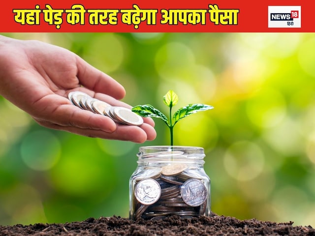 If you want to make money from auto and real estate sector, then there is a chance till 28 November If you want to make money from auto and real estate sector, then there is a chance till 28 November