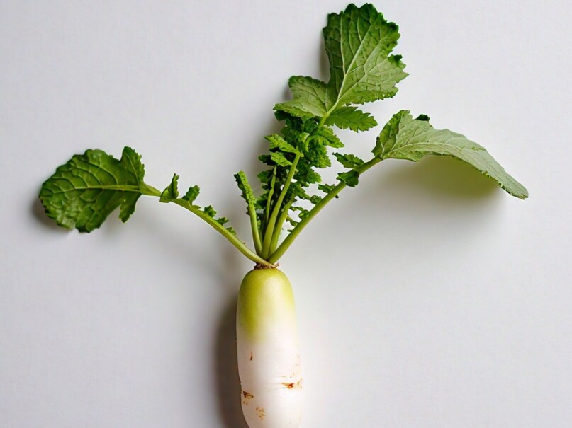 Normal Radish health benefits of radish in winters cancer heart sugar sa - News18 हिंदी