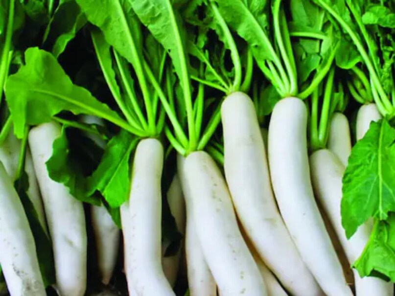 health benefits of radish in winters cancer heart sugar sa - News18 हिंदी
