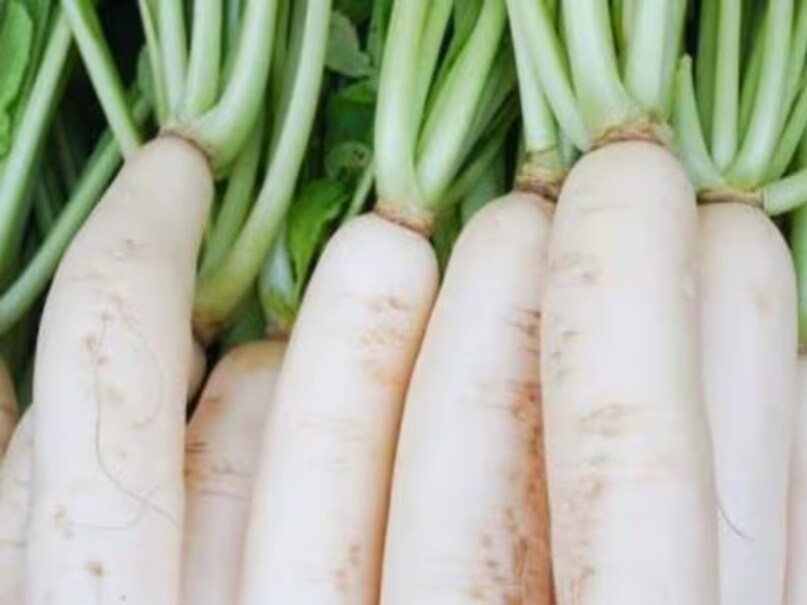 Normal Radish health benefits of radish in winters cancer heart sugar sa - News18 हिंदी