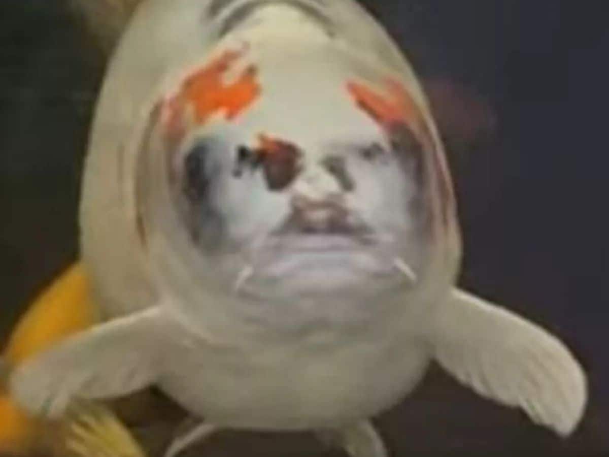 human face on fish