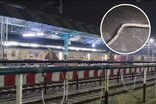 2000 यात्रियों से भरी थी ट्रेन, शातिरों ने पटरी पर रच दिया था बड़ा खेल, फिर