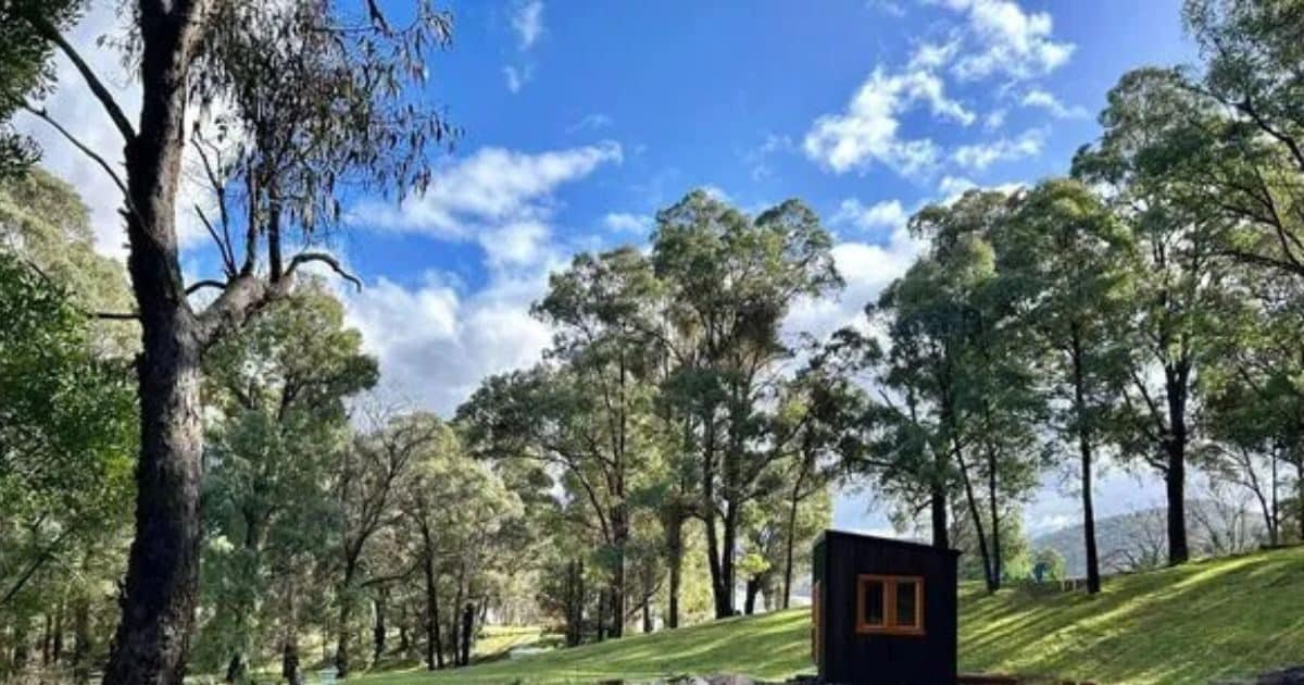 ज गल म रहन लग 62 स ल क मह ल बनव ई लकड क क ट य अ दर स महल