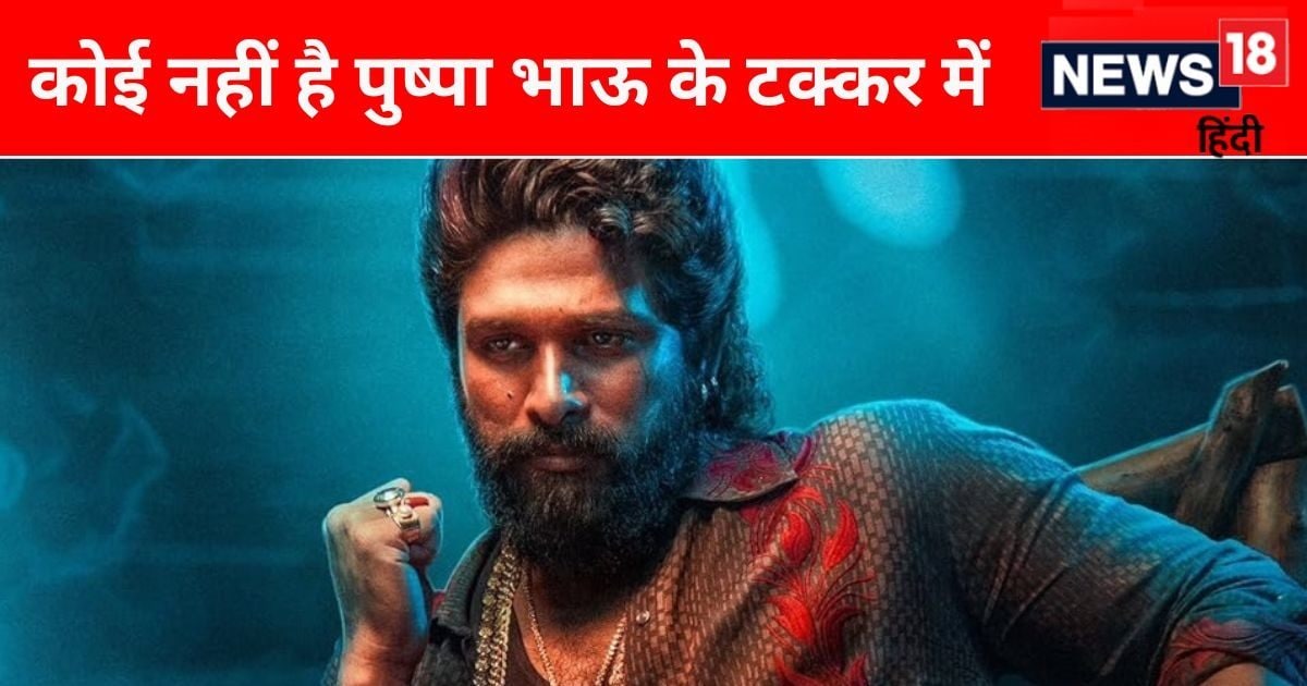 Pushpa 2 ने लूट लिया बॉक्स ऑफिस, 11वें दिन फिल्म ने रचा इतिहास, 900 करोड़ की कमाई पर पुष्पा भाऊ का हुआ कब्जा