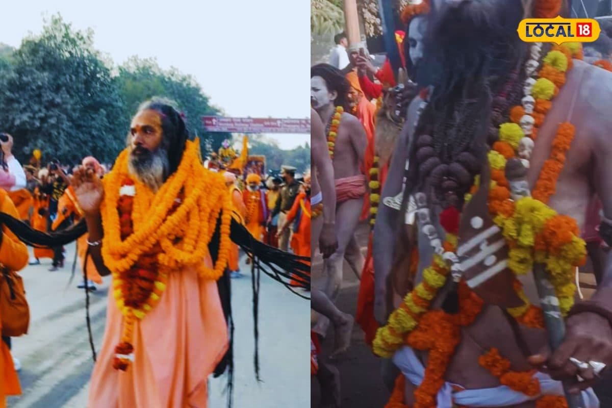 Maha Kumbh 2025: संतो के ‘वृक्ष लगाओ, सृष्टि बचाओ' नारों से गुंजा Prayagraj