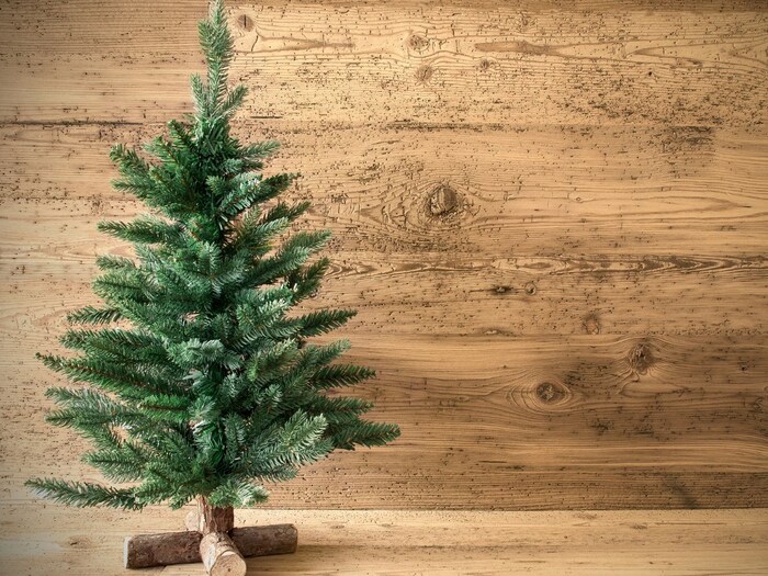 ...So this is how the trend of decorating the Christmas tree started? The folk stories related to this are interesting, know its importance 2 canvas