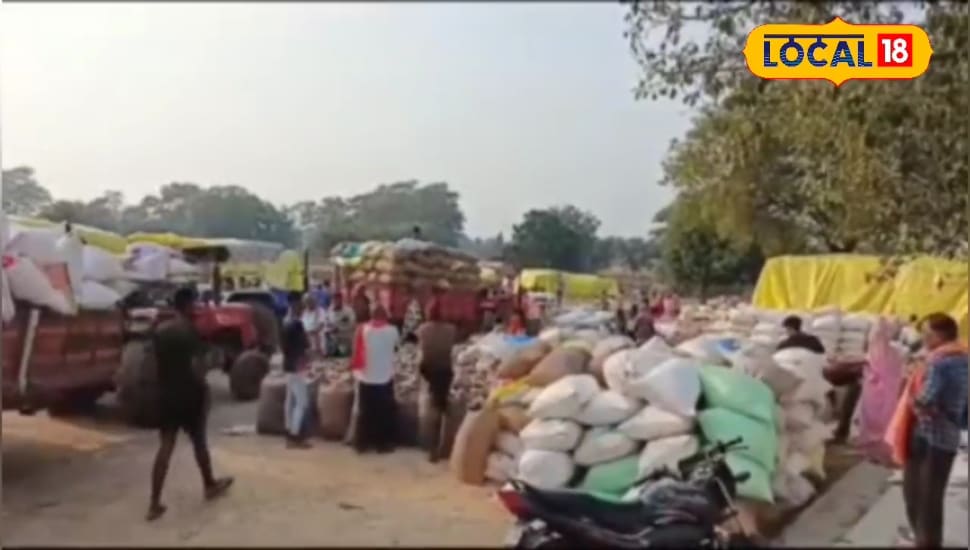 कोरबा में धान खरीदी पर संकट, संग्रहण केंद्रों की इस कमी से किसान परेशान