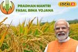 किसानों के लिए आखिरी मौका! 31 दिसंबर तक बढ़ी फसल बीमा आवेदन की तारीख, जानें कैसे करें आवेदन