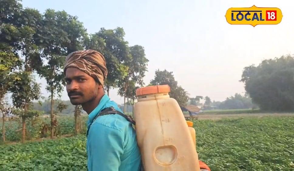 सिर्फ 12 हजार रुपये में शुरू करें ये काम, कमाई होगी लाखों में, नहीं करनी पड़ेगी कही नौकरी