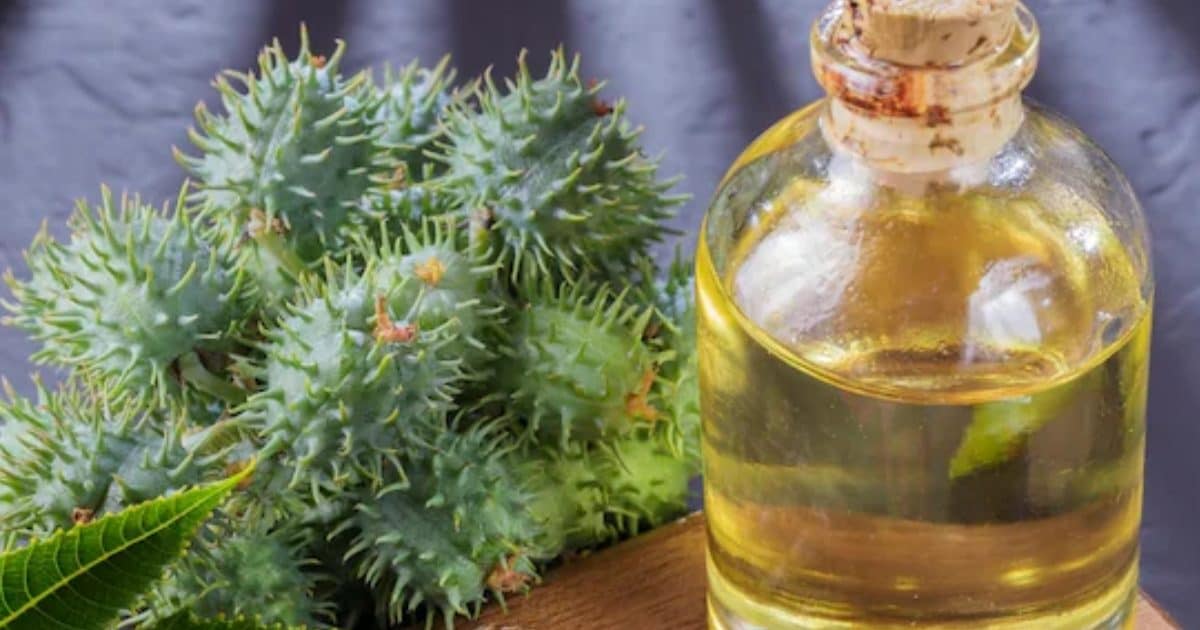 सेहत – नाभि की मालिश और डिटॉक्स के लिए अरंडी के तेल के फायदे