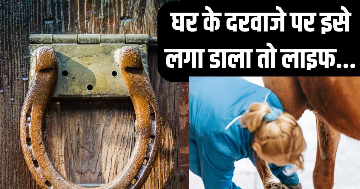 बिना किसी के टोके चुपके से दरवाजे पर लगा दें ये चीज, जीवन में होगा बड़ा चमत्कार, दौलत से भर जाएगी तिजोरी!