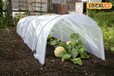 Polytunnel Farming: किसानों को पसंद आ रही खेती की ये अत्याधुनिक तकनीक, इन फोटो में समझें