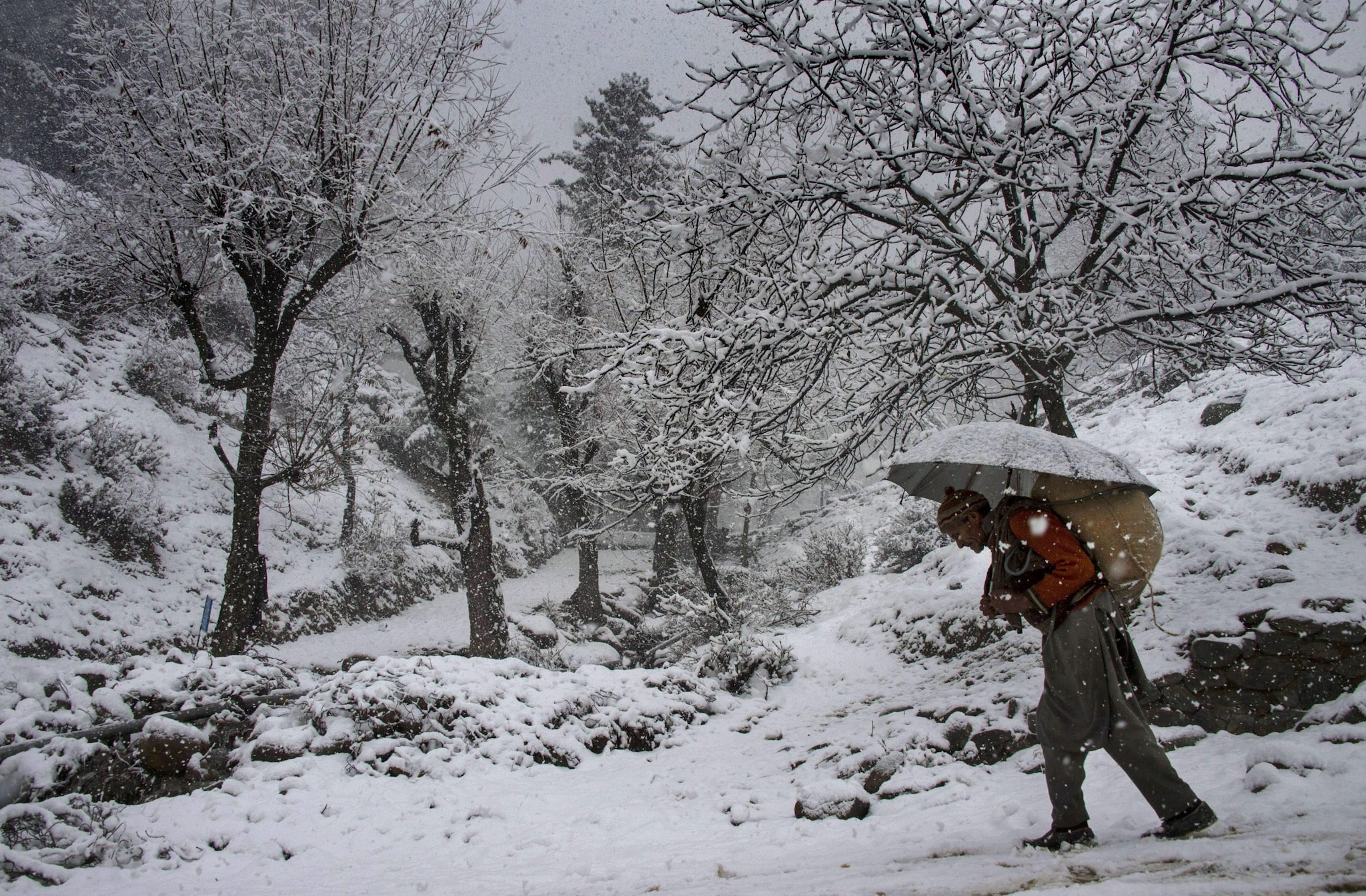 kashmir