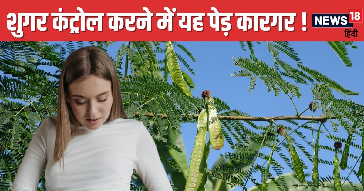 सेहत – रामबाण के लिए है ये हरा पौधा! रिवाइविस्ट राजेंस का काम, समीक्षा में हुआ बड़ा खुलासा