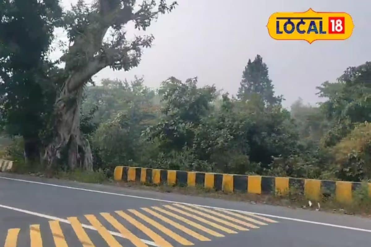 गिरिडीह में यहां पार्टनर के साथ लें लॉन्ग ड्राइव का मजा, यहां की वाइब्स आपको..