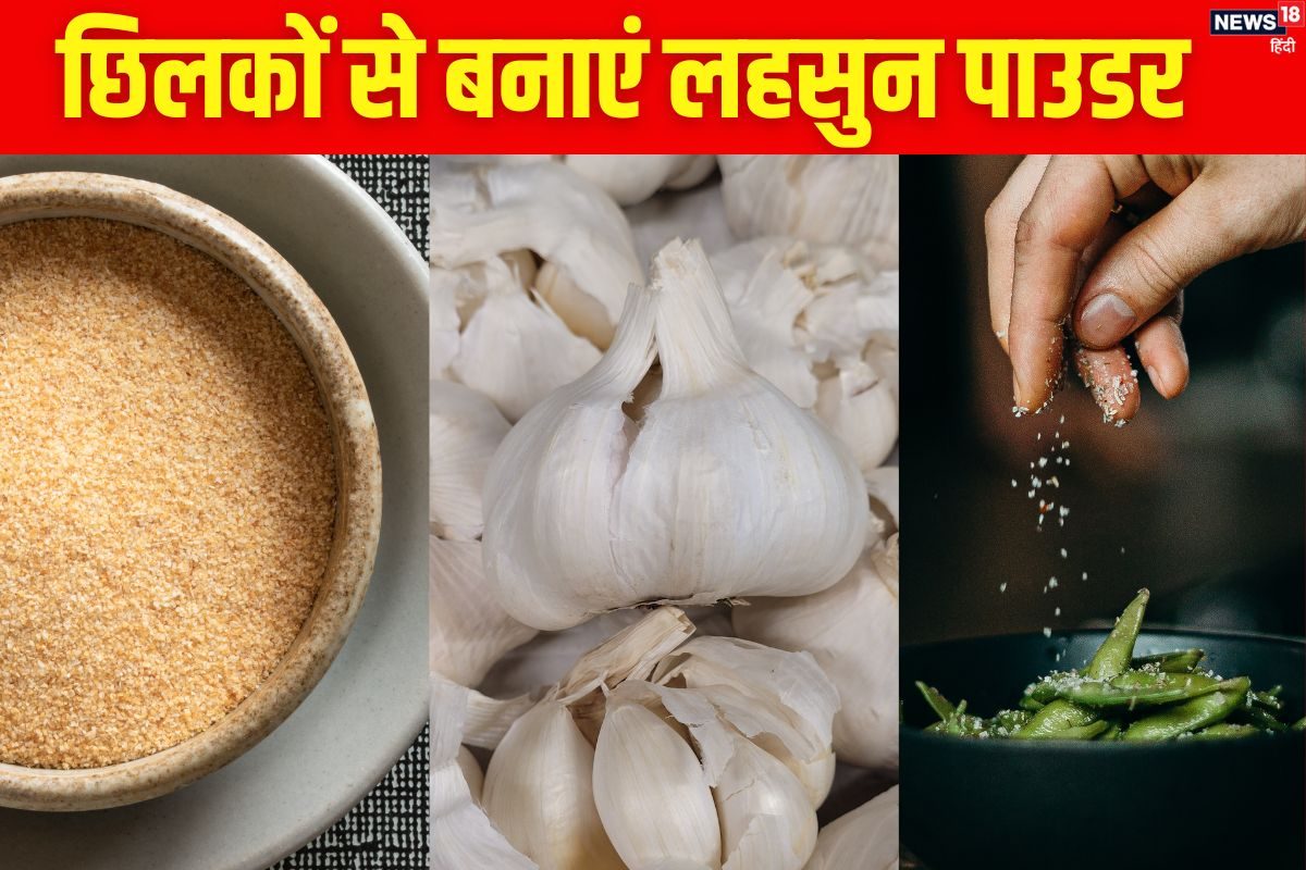 कचरा समझकर फेंक देते हैं लहसुन के छिलके? इनसे बनाएं होममेड गार्लिक पाउडर, फ्री में पाएं बाजार जैसा फ्लेवरफुल सीजनिंग