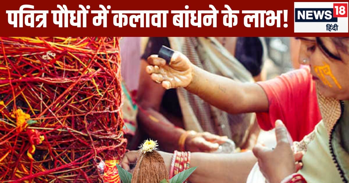 हाथ ही नहीं…इन 5 पवित्र पौधों में भी बांधें कलावा, घर में मां लक्ष्मी का होगा वास! बनने लगेंगे बिगड़े काम