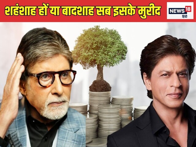 जल्‍द आ रहा बॉलीवुड की पसंदीदा कंपनी का आईपीओ, शाहरुख-अमिताभ सबने लगाए पैसे