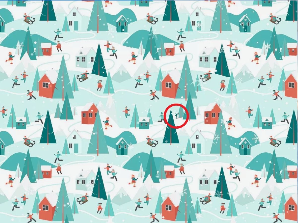 can you spot an animal, can you spot an animal in this winter scene, spot an animal in this winter scene, spot an animal in this winter scene withing 10 seconds, spot an object challenge, spot an animal challenge