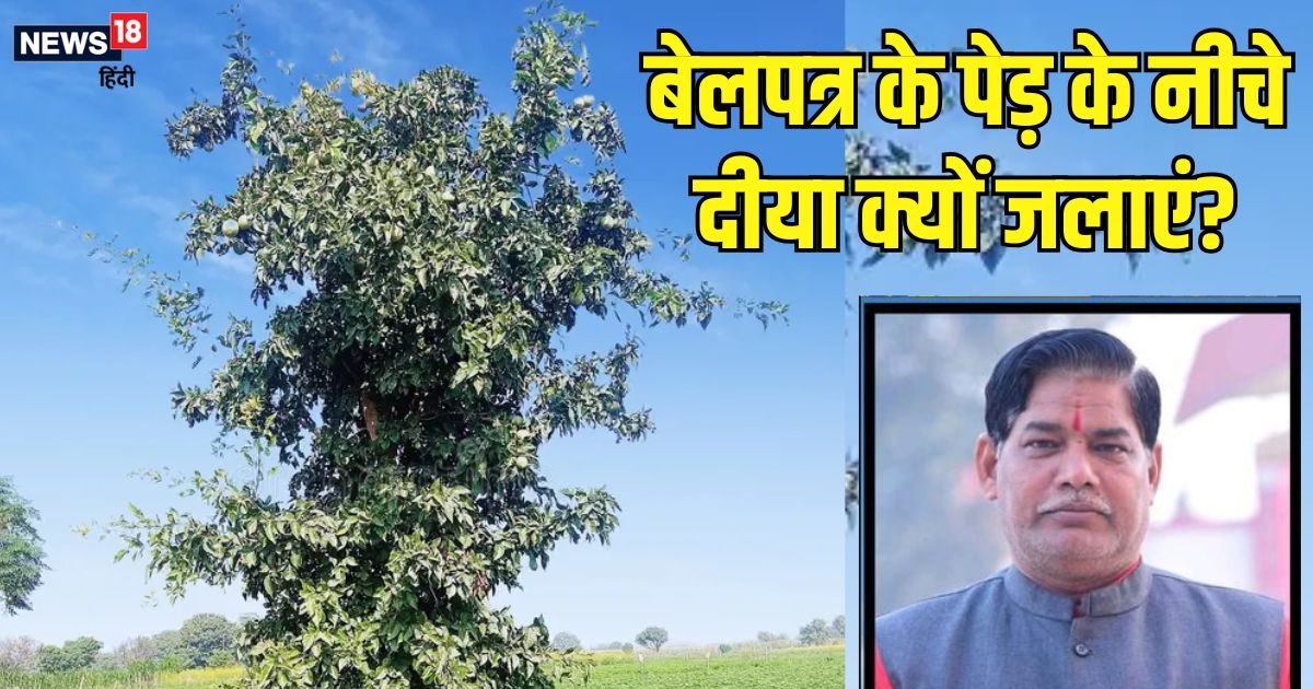 बेलपत्र के पेड़ के नीचे दीया जलाने से क्या होगा? किस देवता का होता वास, जानें किन 4 परेशानियों से मिलेगी मुक्ति