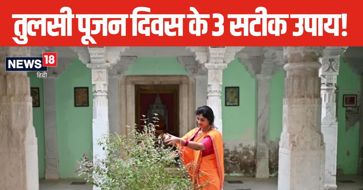 Tulsi Pujan Diwas 2024: कभी नहीं होगी धन की कमी, तुलसी पूजन दिवस पर शाम को करें 3 सटीक उपाय, हमेशा भरी रहेगी तिजोरी