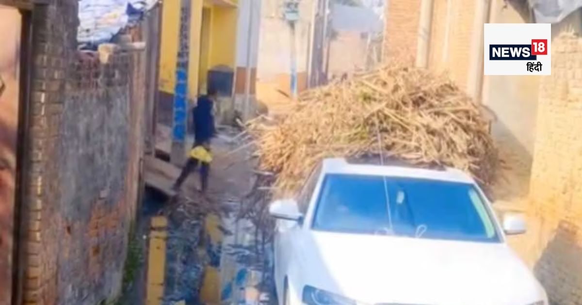 VIDEO: This is so! This person carries straw in an audi of 50 lakhs