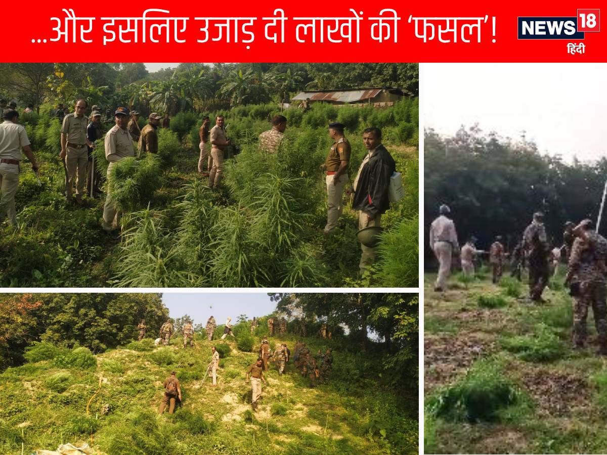 यह भी पढ़ें: दराती ले खेतों में घुसे पुलिस-पैरामिलिट्री के जवान, बर्बाद कर डाली लाखों रुपए की 'फसल', सिर पीटते रह गए 'किसान'... पैरामिलिट्री और पुलिस के जवानों का गुस्‍सा देख किसी के आगे बढ़ने की हिम्‍मत नहीं हो रही थी. देखते ही देखते पैरामिलिट्री और पुलिस के जवानों ने दराती से लाखों रुपए की फसल को जमींदोज कर दिया. क्‍या है पूरा मामला जानने के लिए क्लिक करें.