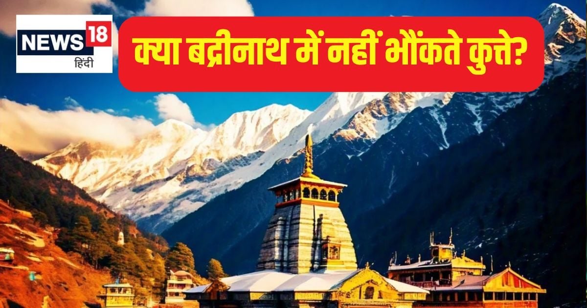क्या बद्रीनाथ में नहीं भौंकते कुत्ते? बारिश होती लेकिन नहीं गरजते बादल, आचार्य देशमुख वशिष्ठ महाराज ने इस रहस्य से उठाया पर्दा