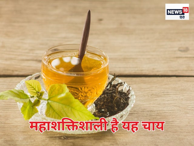 This leaf tea contains 22 times more calcium than cow's milk. This leaf tea contains 22 times more calcium than cow's milk.