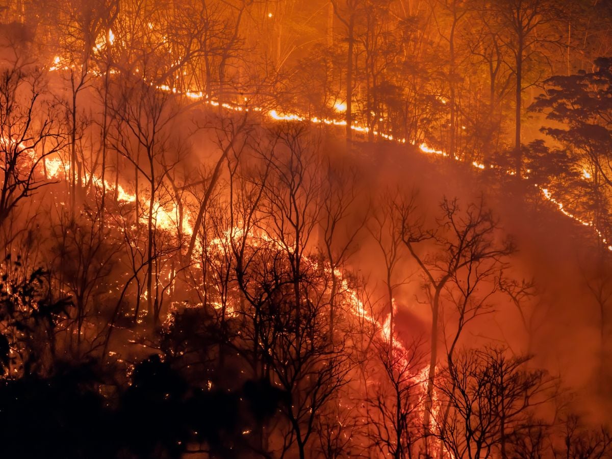 LA fires, California wildfires, US wildfire, USA news, wherefore  LA fires are getting worse, wherefore  California wildfires are getting worse, कैलिफोर्निया आग, लॉस एंजेलिस आग,