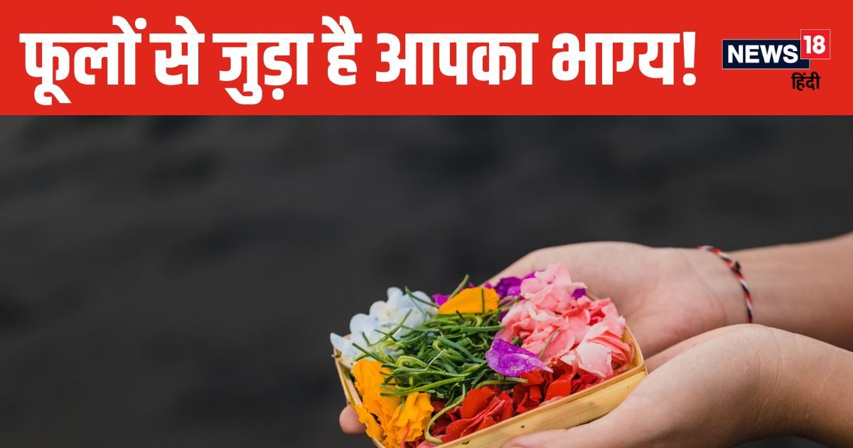 मन की हर मुराद होगी पूरी! मंगलवार को हनुमान जी को चढ़ाएं गेंदा, जानें किस दिन, किस भगवान को अर्पित करें कौनसा फूल?