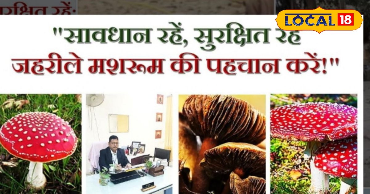क्या आप जानते हैं मशरूम भी होता है जहरीला? विशेषज्ञ से जानें जहरीले मशरूम की कैसे करें पहचान