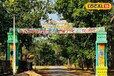 Achanakmar Tiger Reserve: प्रकृति की गोद में बसा ये टाइगर रिजर्व है बहुत खास, जन्नत की सैर का करेंगे अनुभव