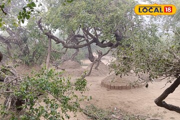 वृंदावन