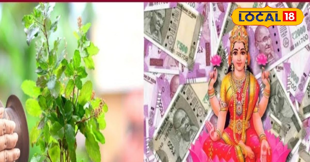 पौष पूर्णिमा पर तुलसी का ये उपाय धन से भर देगा घर, लक्ष्मी होंगी प्रसन्न, दूर होगी दरिद्रता, खत्म होगा कर्ज!